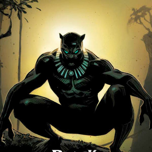 Marvel Black Panther TChalla King of Wakanda iPhone X Skin