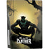 Marvel Black Panther TChalla King of Wakanda PS5 Bundle Skin
