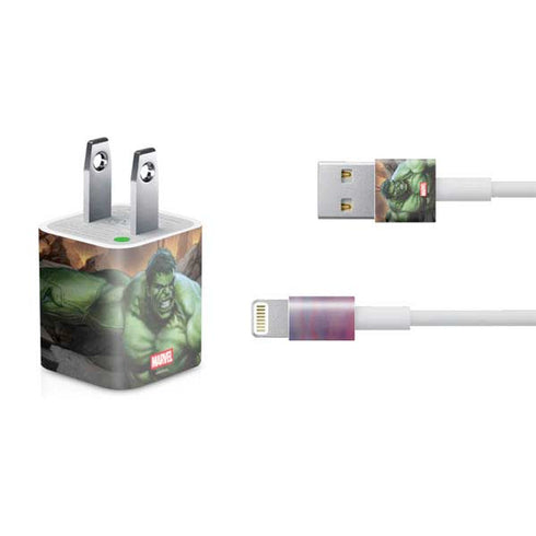 Marvel Enraged Hulk iPhone Charger (5W USB) Skin