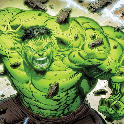 Marvel Hulk Green Goliath Nintendo 2DS XL (2017) Skin