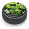 Marvel Hulk Green Goliath Amazon Echo Dot Skin