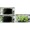 Marvel Hulk Green Goliath DS Lite Skin