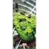 Marvel Hulk Green Goliath Galaxy Note 10 Plus Skin