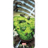 Marvel Hulk Green Goliath Galaxy S20 Plus Skin