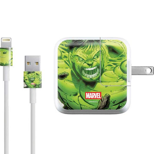 Marvel Hulk Green Goliath iPad Charger (10W USB) Skin