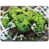 Marvel Hulk Green Goliath Notebook 9 Pro 13in (2017) Skin