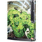 Marvel Hulk Green Goliath Playstation 3 & PS3 Slim Skin
