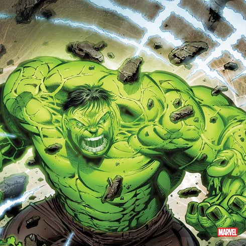 Marvel Hulk Green Goliath PS4 Console and Controller Bundle Skin