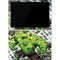 Marvel Hulk Green Goliath Surface Pro 7 Skin