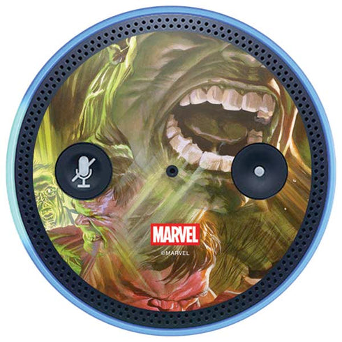 Marvel Hulk Savage Hulk Amazon Echo Skin