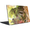 Marvel Hulk Savage Hulk Dell Vostro Skin