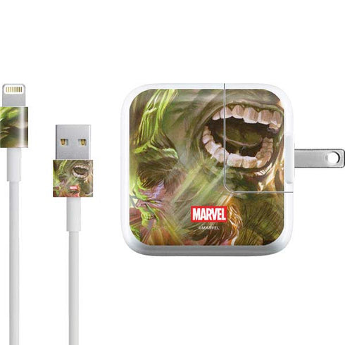 Marvel Hulk Savage Hulk iPad Charger (10W USB) Skin