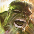 Marvel Hulk Savage Hulk iPhone X Pro Case
