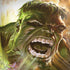 Marvel Hulk Savage Hulk iPhone X Skin