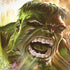 Marvel Hulk Savage Hulk iPhone XR Pro Case