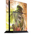 Marvel Hulk Savage Hulk PlayStation PS4 Skins