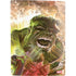 Marvel Hulk Savage Hulk PS5 Digital Edition Bundle Skin