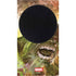 Marvel Hulk Savage Hulk Xbox Series S Console Skin