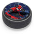 Marvel Spiderman Crawling Spiderman Amazon Echo Dot Skin