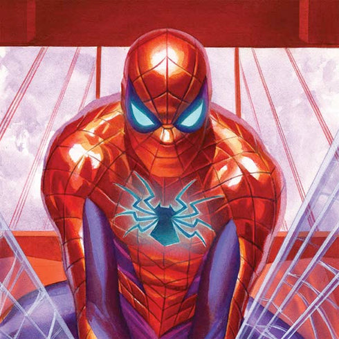 Marvel Spiderman Web Slinger Nintendo 2DS XL (2017) Skin