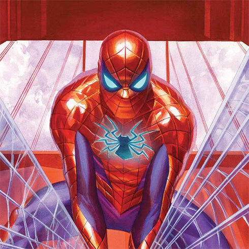 Marvel Spiderman Web Slinger Otterbox Commuter Galaxy Skin