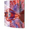 Marvel Spiderman Web Slinger Playstation 3 & PS3 Skin