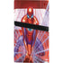 Marvel Spiderman Web Slinger PS5 Pro Bundle Skin