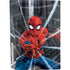 Marvel Spiderman Web Throw PS5 Bundle Skin