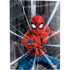 Marvel Spiderman Web Throw PS5 Digital Edition Bundle Skin