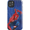 Marvel Spiderman World of Webs iPhone Cases