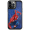 Marvel Spiderman World of Webs iPhone 13 Pro Cargo Case