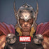 Marvel Thor God of Asgard Amazon Echo Skin