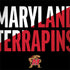 University of Maryland Terrapins Athletic Marks Dell Latitude Skin