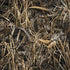 RealTree Max7 Camo Dell Latitude Skin