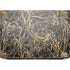 RealTree Max7 Camo HP ZBook Fury 16 G10 Skin