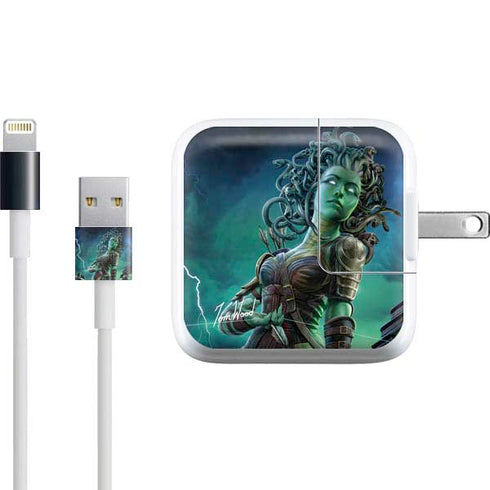 Medusa by Tom Wood iPad Charger (10W USB) Skin