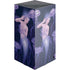 Mermaid and Jellyfish by Rachel Anderson Xbox Series X Skins