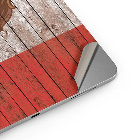 Mexican Flag Dark Wood Apple iPad Air Skin