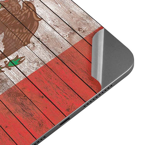 Mexican Flag Dark Wood Apple iPad Mini Skin