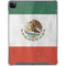 Mexico Flag Distressed iPad Cases