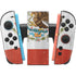 Mexico Flag Distressed Nintendo Switch 2 (2025) Joy-Con Controller Skin