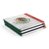Mexico Flag Distressed PlayStation PS4 Skins