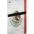 Mexico Flag Distressed PS5 Pro Bundle Skin