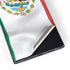 Mexico Flag Galaxy Skins