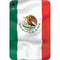 Mexico Flag Apple iPad Mini Skin