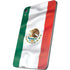 Mexico Flag Apple iPad Mini Skin