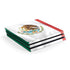 Mexico Flag PlayStation PS4 Skins