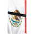 Mexico Flag PS5 Pro Bundle Skin
