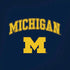 University of Michigan M iPhone XR Pro Case