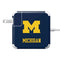 University of Michigan M Logo 85W Power Adapter (15 and 17 inch MacBook Pro Charger) Skin
